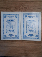 Nicodim Mandita - Calea sufletelor in vesnicie. Vamile vazduhului (2 volume)
