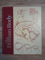 The human body. The brain. Mystery of matter and mind