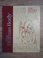 The human body. The heart. The living pump