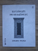 Andrei Neagu - Bucuresti neoromanesc
