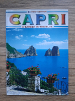Capri. A garden in the blue