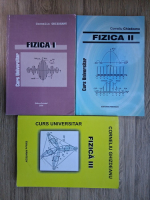 Corneliu Ghizdeanu - Fizica. Curs universitar (3 volume)