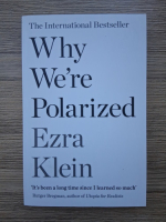 Ezra Klein - Why we're polarized