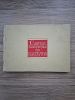 Ileana Cretan - Cusaturi traditionale din Bucovina