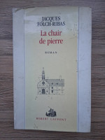 Jacques Folch Ribas - La chair de pierre