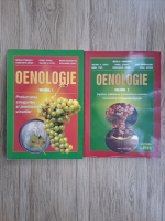 Nicolai Pomohaci, Viorel Stoian, Marin Gheorghita - Oenologie (2 volume)