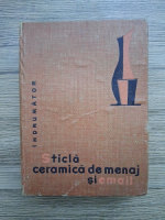 Sticla ceramica de menaj si email