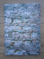 Traian Pop Traian - Ochiul boului