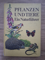Christoph Needon, Johannes Petermann - Pflanzen und tiere ein naturfuhrer