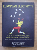 European electricity. Flashback on a momentous era. Spotlight on an exciting future
