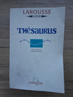 Larousse. In extenso. Thesaurus. Des idees aux mots, des mots aux idees