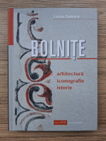 Luiza Zamora - Bolnite. Arhitectura, iconografie, istorie