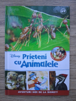 Anticariat: Prieteni cu animalele,volumul 49. Insecte sociale . Pars. Ciocanitoare