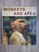 Gotthart Berger, Erich Tylinek - Monkeys and apes