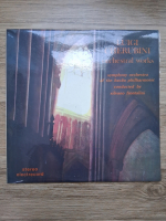 Luigi Cherubini, Symphony Orchestra of the Bacau Philharmonic, Silvano Frontalini - Orchestral Works