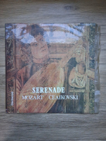 Mircea Cristescu - Serenada pentru orchestra de coarde in Do major, op. 48 (Wolfgang Amadeus Mozart, Piotr Ilici Ceaikovski)