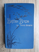 Rev. C. A. Johns - British birds in their haunts (1899)