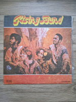 Rising Sound - Live and love