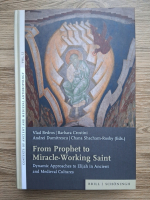 Vlad Bedros, Barbara Crostini - Contextes of ancient and medieval anthropology, volumul 12. From prophet to miracle-working saint