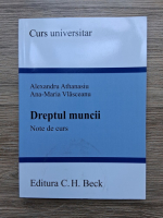 Alexandru Athanasiu, Ana-Maria Vlasceanu - Dreptul muncii. Note de curs