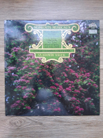 Dvorak Chamber Orchestra, Vladimir Valek - Moments musicaux