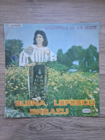 Elena Lefescu Breazu - Salcamule de la drum