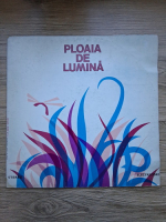 Formatia Continental, Grup 5T - Ploaia de lumina