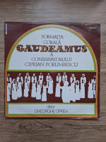 Formatia corala Gaudeamus a Conservatorului Ciprian Porumbescu, Gheorghe Oprea - Peisaj coral romanesc