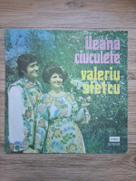 Ileana Ciuculete, Valeriu Sfetcu - Ileana Ciuculete si Valeriu Sfetcu