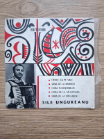 Sile Ungureanu - Cantec ca pe vale