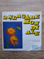 Super Grup Electrecord - 2 slagare mondiale
