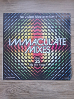 The Vision Mastermixers - Immaculate mixes. Over 25 big hit songs