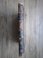 Gustav von Bezold - Handbuch der architektur. Die baukunst der renaissance in deutschland (1900)