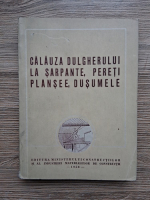 M. Ionas, M. Abramovici - Calauza dulgherului la sarpante, pereti plansee, dusumele