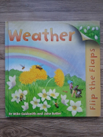 Mike Goldsmith, John Butler - Flip the flaps. Weather 