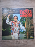 Nelu Balasoiu - De la Jii pan-la Gilort