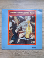 The Chorus of St. Hedwigs Cathedral - Motets (Johann Sebastian Bach)