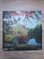 Vasile Pop, Luminita Cosmin, Dorel Livianu, Pusa Neicu - Romante