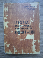 Constantin Botez - Istoria unei citadele muncitoresti Nicolina-Iasi