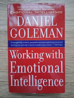 Daniel Coleman - Working with emotional intelligence