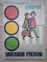 Ghidul micului pieton