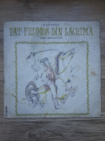 Mircea Stefanescu, Constantin Moruzan - Fat Frumos din lacrima (Mihai Eminescu, coperta uzata)