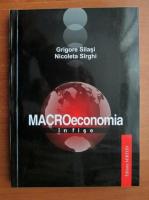 Grigore Silasi - Macroeconomia in fise