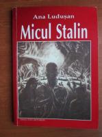 Anticariat: Ana Ludusan - Micul Stalin
