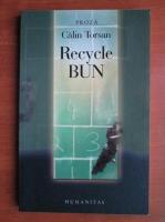 Calin Torsan - Recycle bun