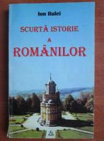 Ion Bulei - Scurta istorie a romanilor