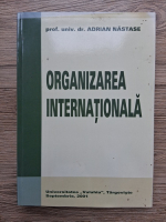 Adrian Nastase - Organizarea internationala