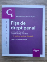 Alexandru Boroi, Simona Anghel - Fise de drept pental pentru admiterea in magistratura si avocatura, editia a 3-a (putin uzata)