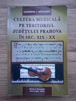 Alexandru I. Badulescu - Cultura muzicala pe teritoriul judetului Prahova in sec. XIX-XX