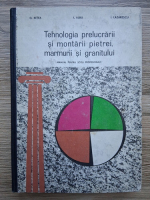 G. Betea, I. Albu - Tehnologia prelucrarii si montarii pietrei, marmurii si granitului. Manual pentru scoli profesionale